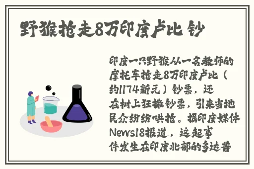 三妻四妾免费观看完整版高清